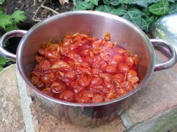 Mein heutiges Geschenk